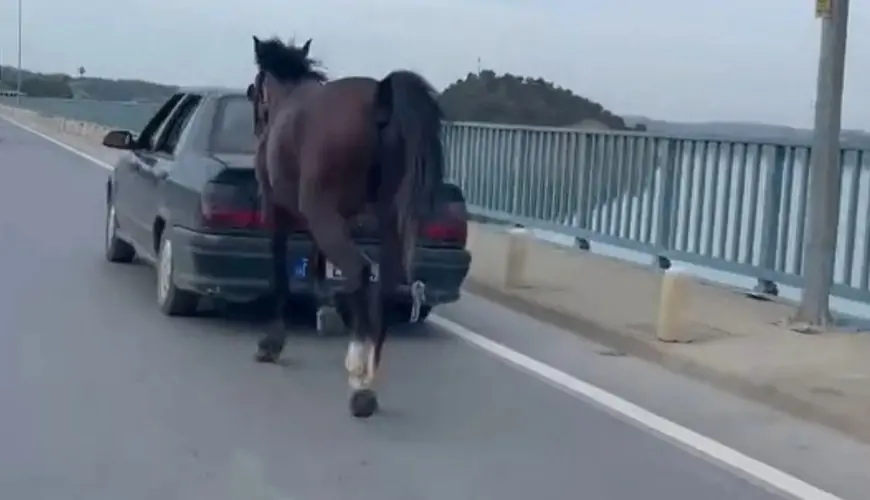 Atı maşının arxasına bağlayıb sürdülər - VİDEO