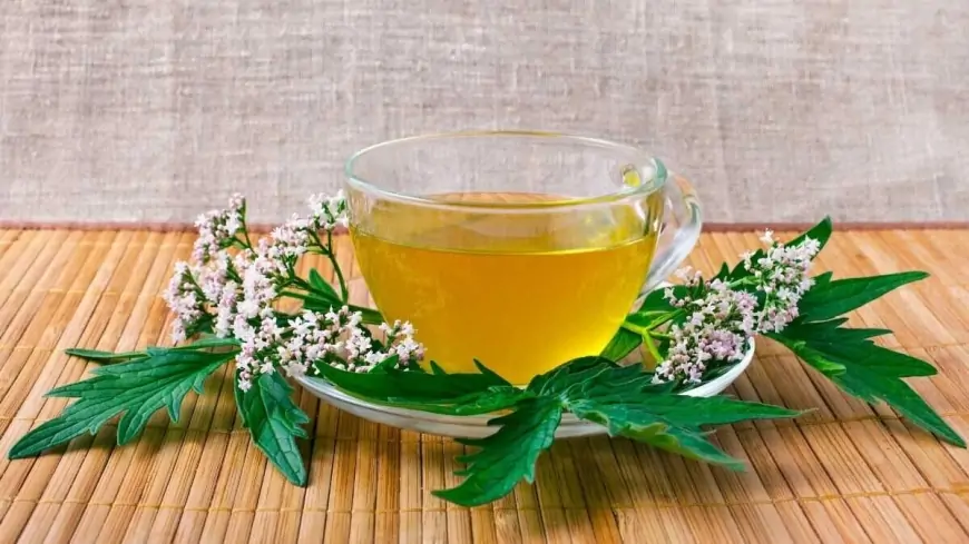 Panik atakı yüngülləşdirən təbii çaylar - Siyahı