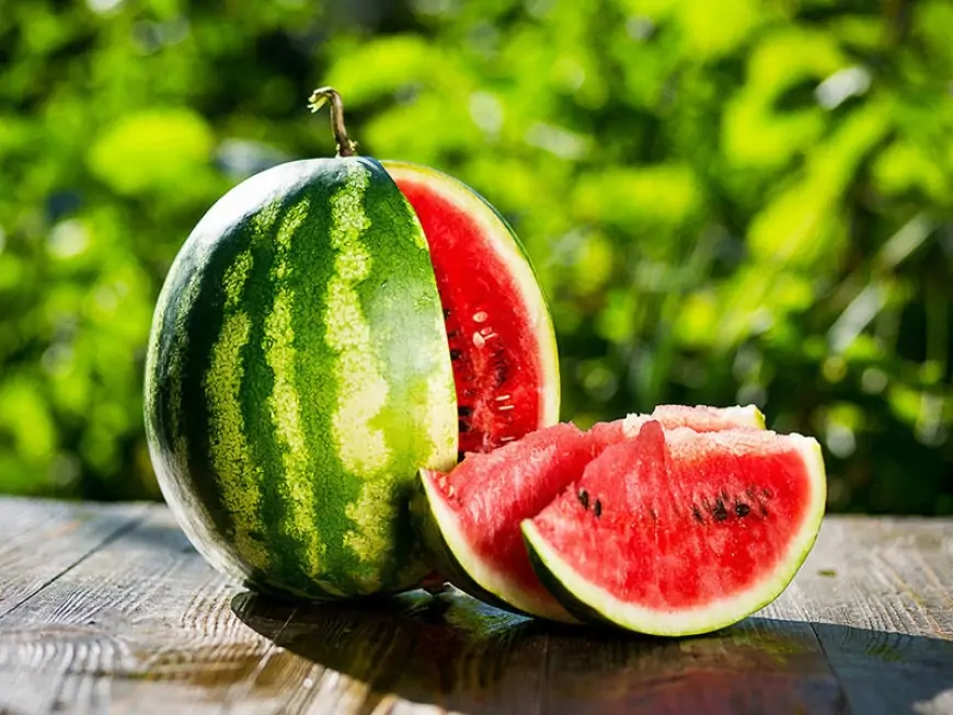 Təbii viaqradır, cinsi potensialı artırır, arıqladır... – Qarpız