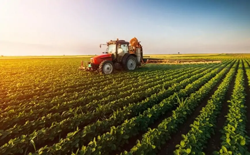 Fermerlərə güzəştli kreditlər veriləcək 