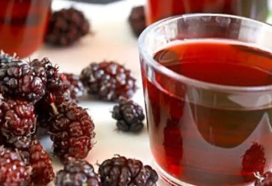 Xərçəng xəstəliyinin, qan azlığının, qəbizliyin və iltihabın dərmanı… – Xar tut