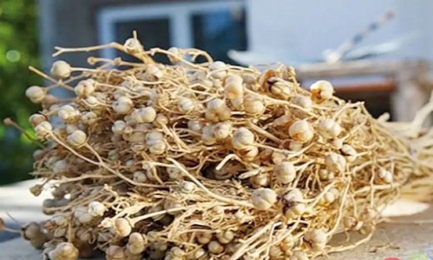 Rusiyaya üzərlik aparmayın - Həbs olunacaqsınız