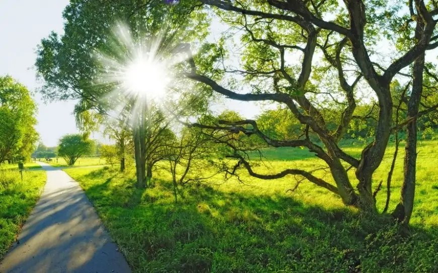 Sabah 38 dərəcə isti olacaq 