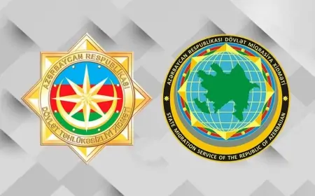 DTX əməliyyat keçirdi - Onlar ölkədən çıxarıldı