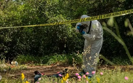 Məşhur müğənninin oğlu parkdan ölü tapıldı