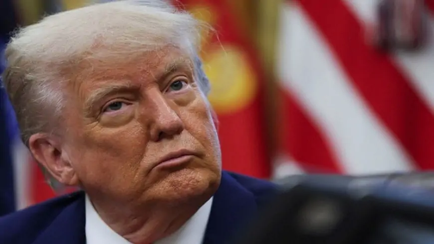 Tramp canlı yayımda söyüş söydü 