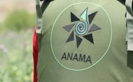 ANAMA-nın əməkdaşı və nişanlısı Füzulidə avtomobillə kanala düşdü