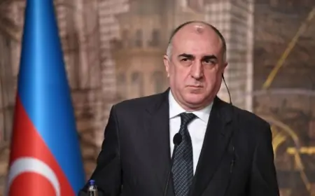 Elmar Məmmədyarov gəlinləri barədə: