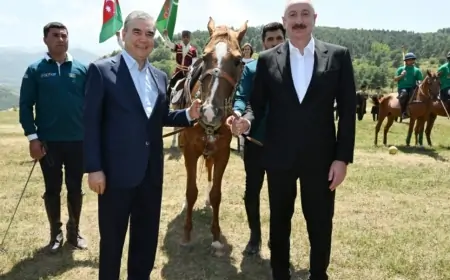 Prezident Berdiməhəmmədova Qarabağ atı bağışladı - FOTOLAR