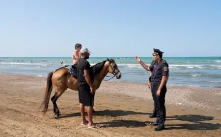 Çimərliklərdə bunlar qadağandır