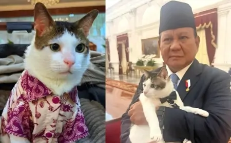 Prezident pişiyinə mühafizəçilər ayırdı