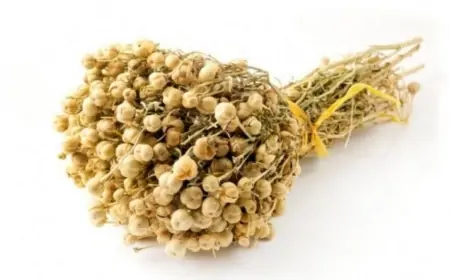 Nazirlikdən üzərliklə bağlı xəbərdarlıq - Saxlanıla bilərsiniz 