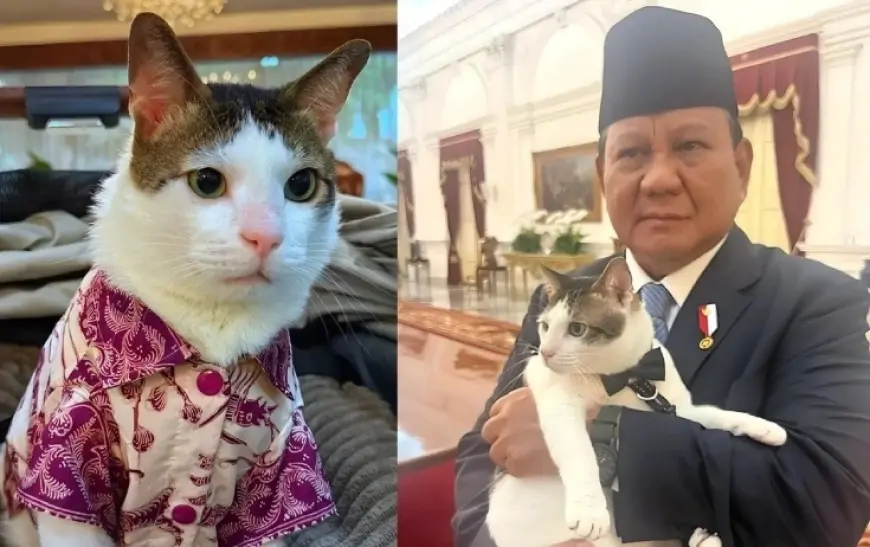 Prezident pişiyinə mühafizəçilər ayırdı - Bu da oldu