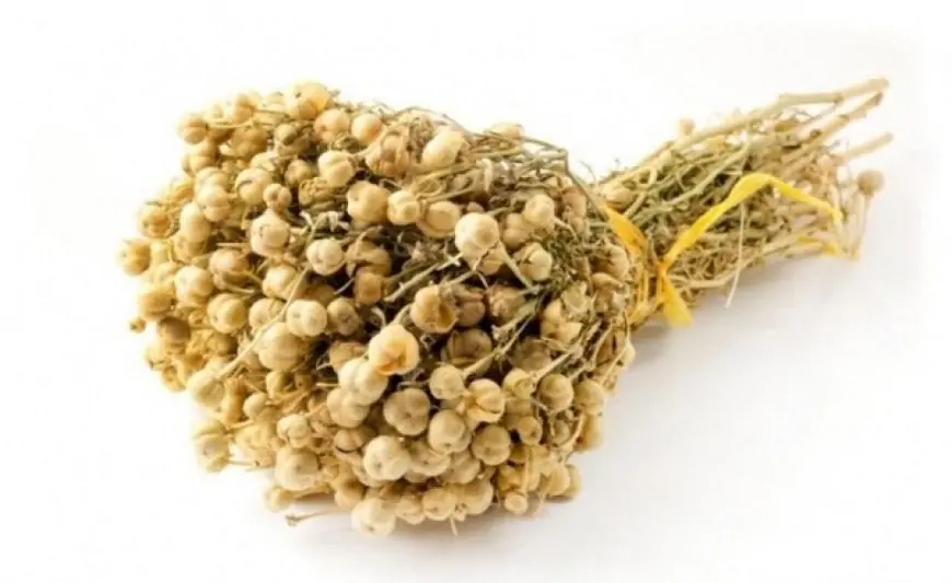 Nazirlikdən üzərliklə bağlı xəbərdarlıq - Saxlanıla bilərsiniz 