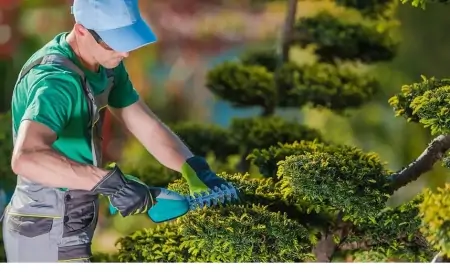 "Oğlumun 100 minlik saatı, milyonluq rəsmlər..."