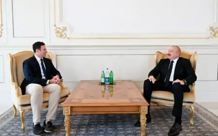 Prezident Cared Koheni qəbul etdi - FOTOLAR