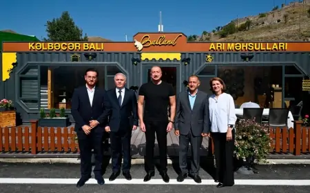 Prezident Kəlbəcərdə açılışda iştirak etdi