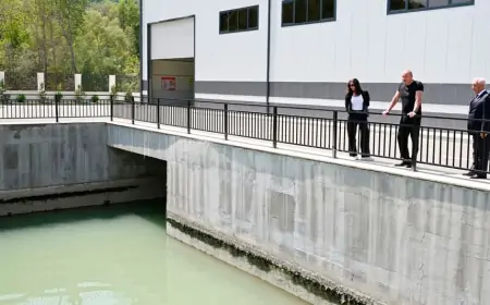 Prezident Vəng kəndində SES-lərin açılışında