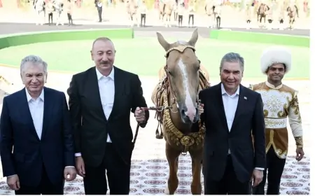 İlham Əliyevə hədiyyə edilən "Taus" ləqəbli at