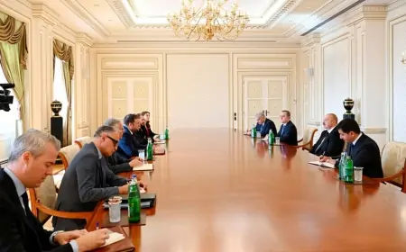 Prezident britaniyalı naziri qəbul etdi