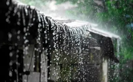 Sabah hava necə olacaq? 