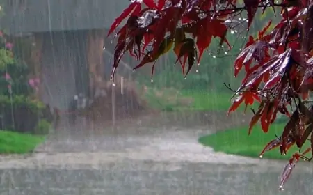 Sabah hava necə olacaq?