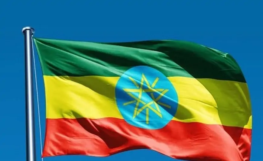 Efiopiya da Rusiyaya rədd cavabı verdi 