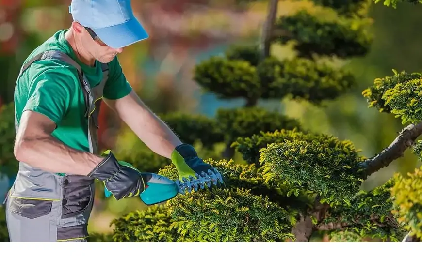 "Oğlumun 100 minlik saatı, milyonluq rəsmlər..." - Bağban oğurladı, sonra villanı yandırdı  