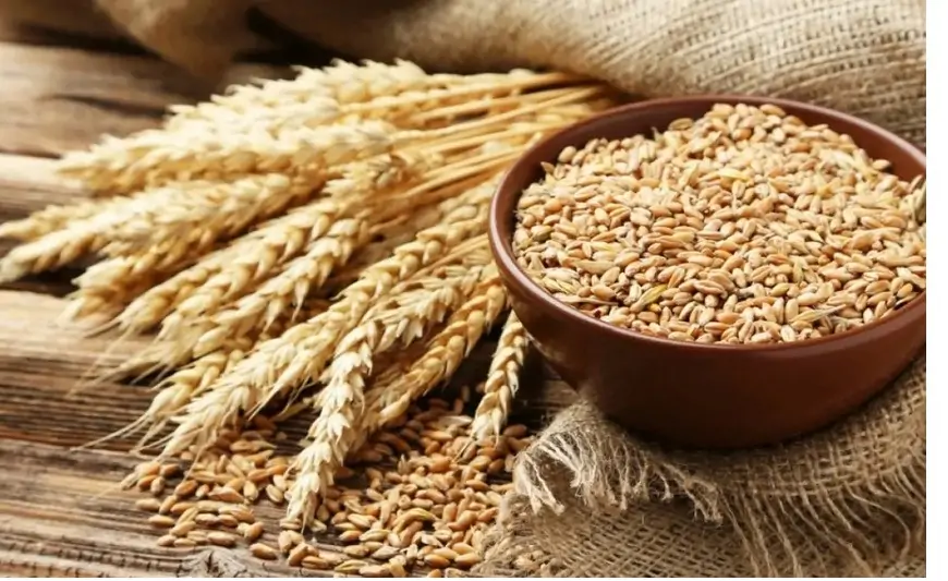 Azərbaycan buğda idxalını 40 %-dən çox artırıb 