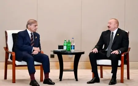 Prezident Tiencində Şahbaz Şəriflə görüşdü - FOTO