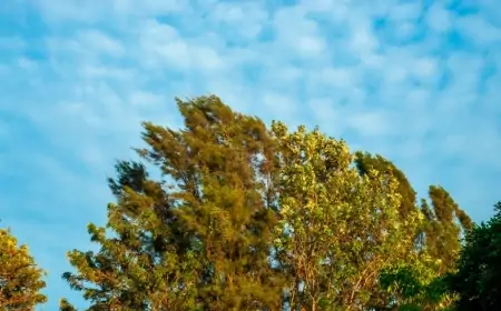 Sabah hava necə olacaq? 