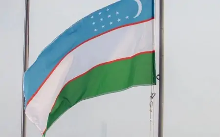 Özbəkistan taksi sürücüsünə görə Rusiyaya nota verdi  