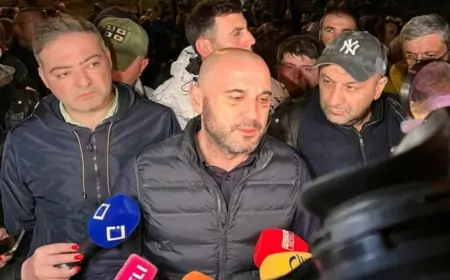 Gürcüstanda Saakaşvilinin partiyasının keçmiş sədri həbs edildi