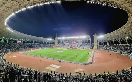 Azərbaycan-Fransa oyunu bu uşağa görə dayandı - Stadionda nə baş verib? + FOTOLAR