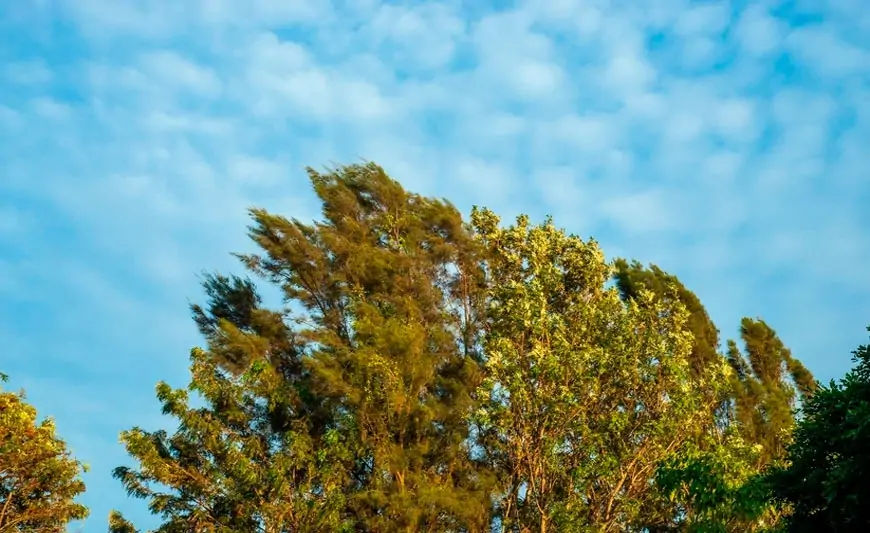 İki gün güclü külək əsəcək – TARİXLƏR