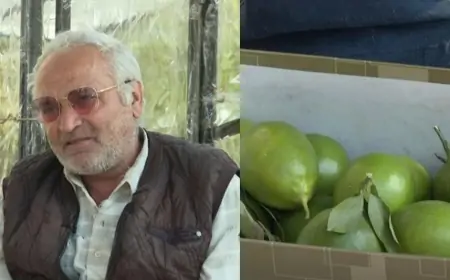 Limon satır, amma hesabında 1 milyon manat var