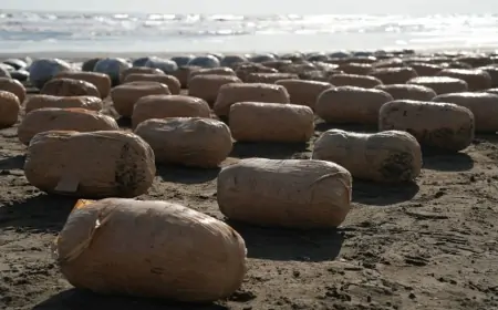 Azərbaycana yarım ton narkotik keçirmək istədilər