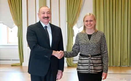 İlham Əliyev Elina Valtoneni qəbul etdi