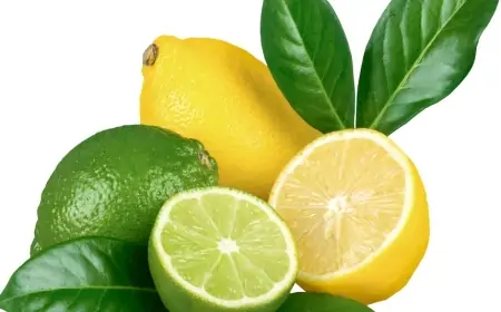 Xərçəng riskini azaldır - Limon toxumları