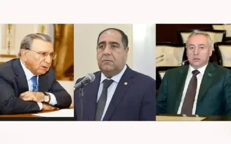 Balakənin deputatı icra başçısının həbsi haqda - "Ola bilər ki, Ramiz Mehdiyevlə..."