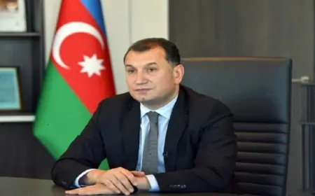 Sahib Məmmədovdan "onu tapın" göstərişi - Mənbə axtarışı