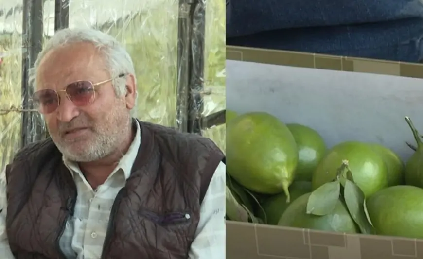 Limon satır, amma hesabında 1 milyon manat var - Bakıda ŞOK