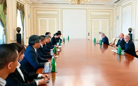 Prezident Lü Cünü qəbul etdi - FOTOLAR