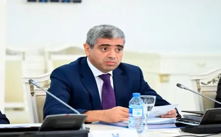 Nazir minimum maaş və pensiyadan danışdı –