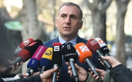 Gürcüstanda müxalifət lideri həbs edildi 