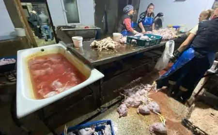 Çirkli vannalarda hazırlanan "kənd toyuqları" - FOTOLAR