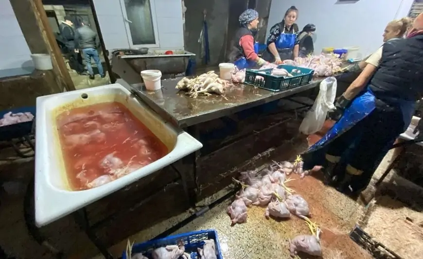 Çirkli vannalarda hazırlanan "kənd toyuqları" - FOTOLAR