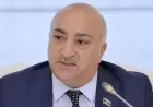 "Tənək budayanda nərdivan sürüşdü, arxası üstə yıxıldım" - Tahir Kərimli zədə aldı