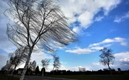 Sabahın havası ilə bağlı XƏBƏRDARLIQ