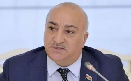 Qardaşı dələduzluqda ittiham olunan Tahir Kərimli DANIŞDI - "Danlamışam..."